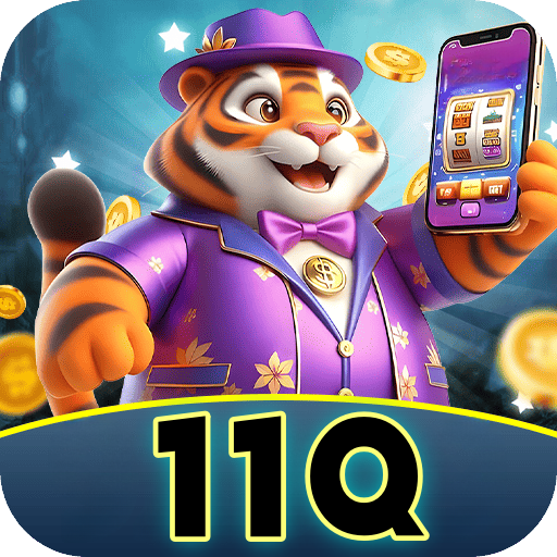 11q